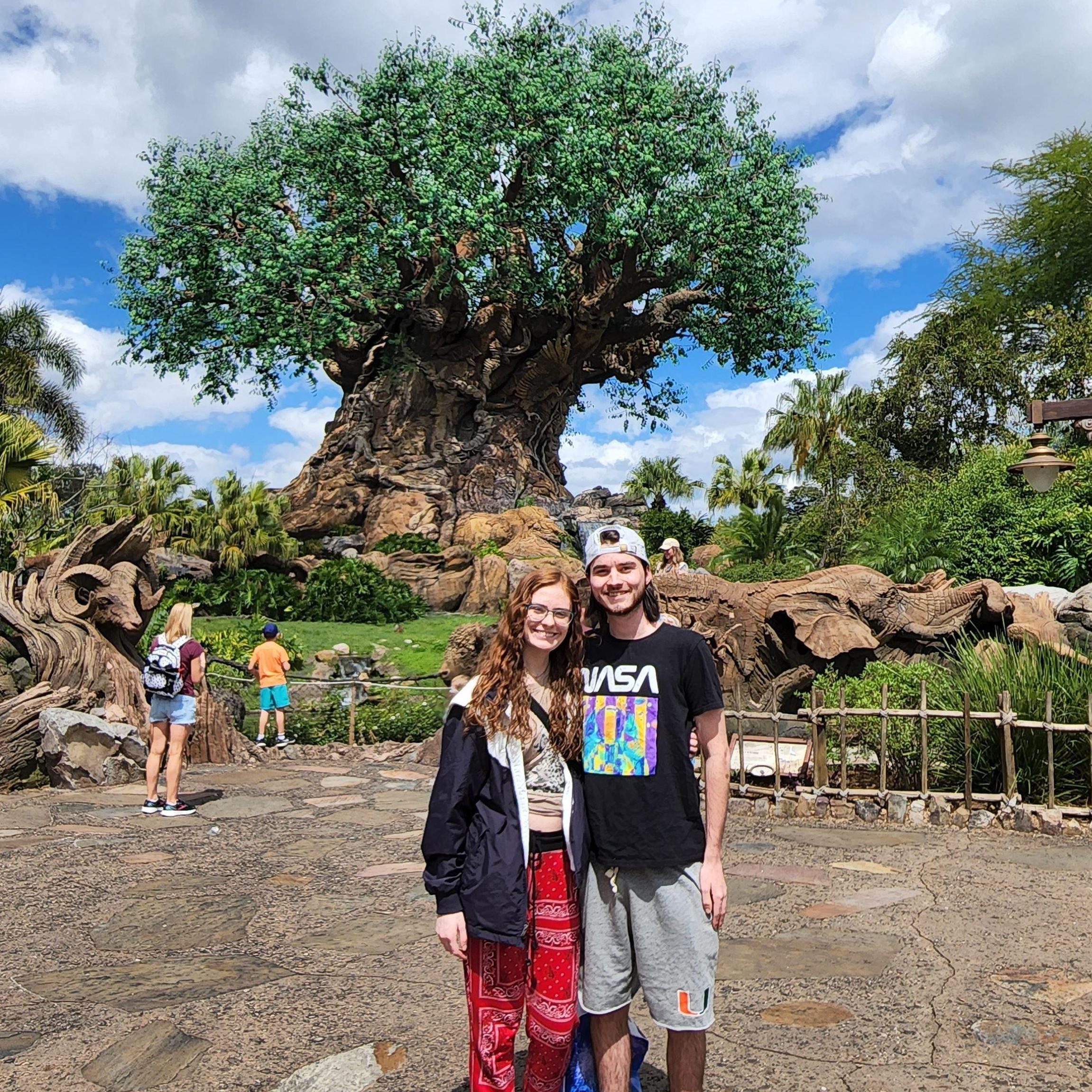 Animal Kingdom