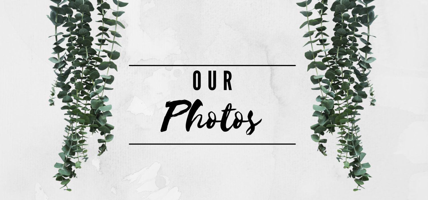 The Wedding Website of Natalie M. Bullock and Trent M. McCuin