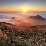 Yangmingshan National Park
