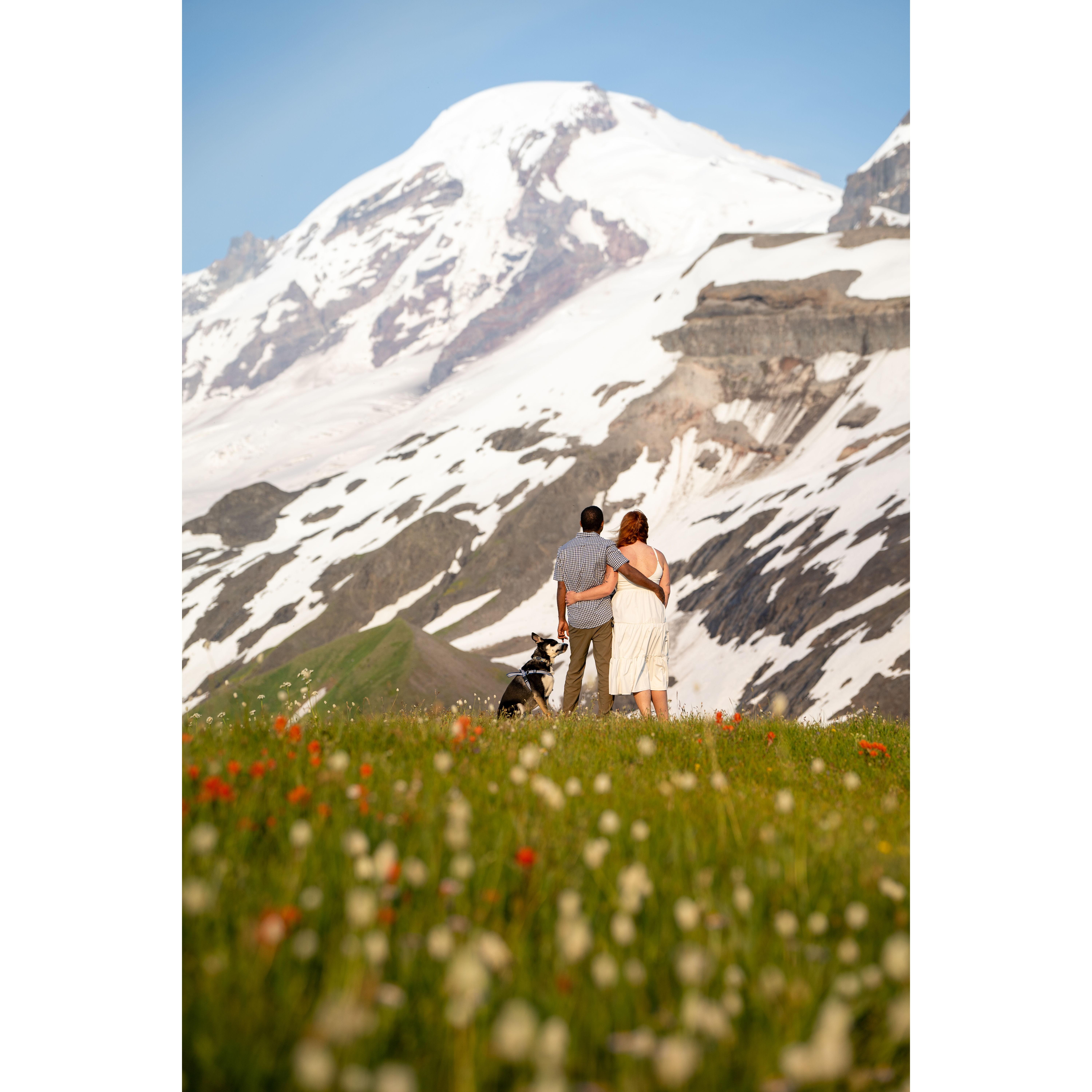 Engagement Photos! July 2024