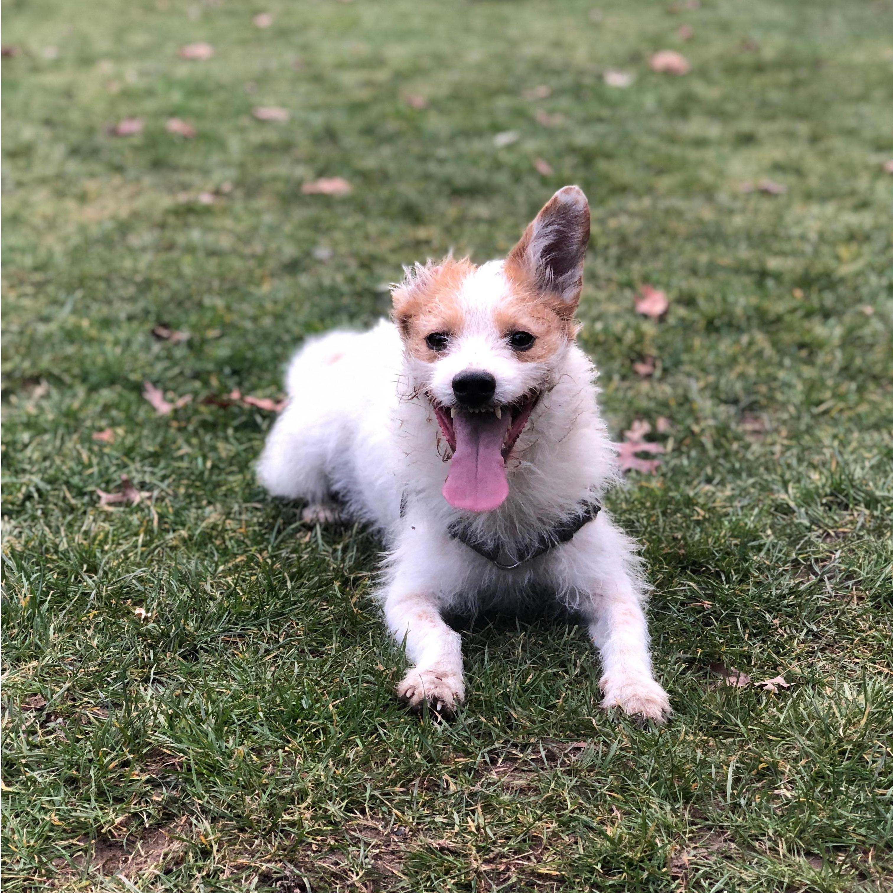Stella. Our #1