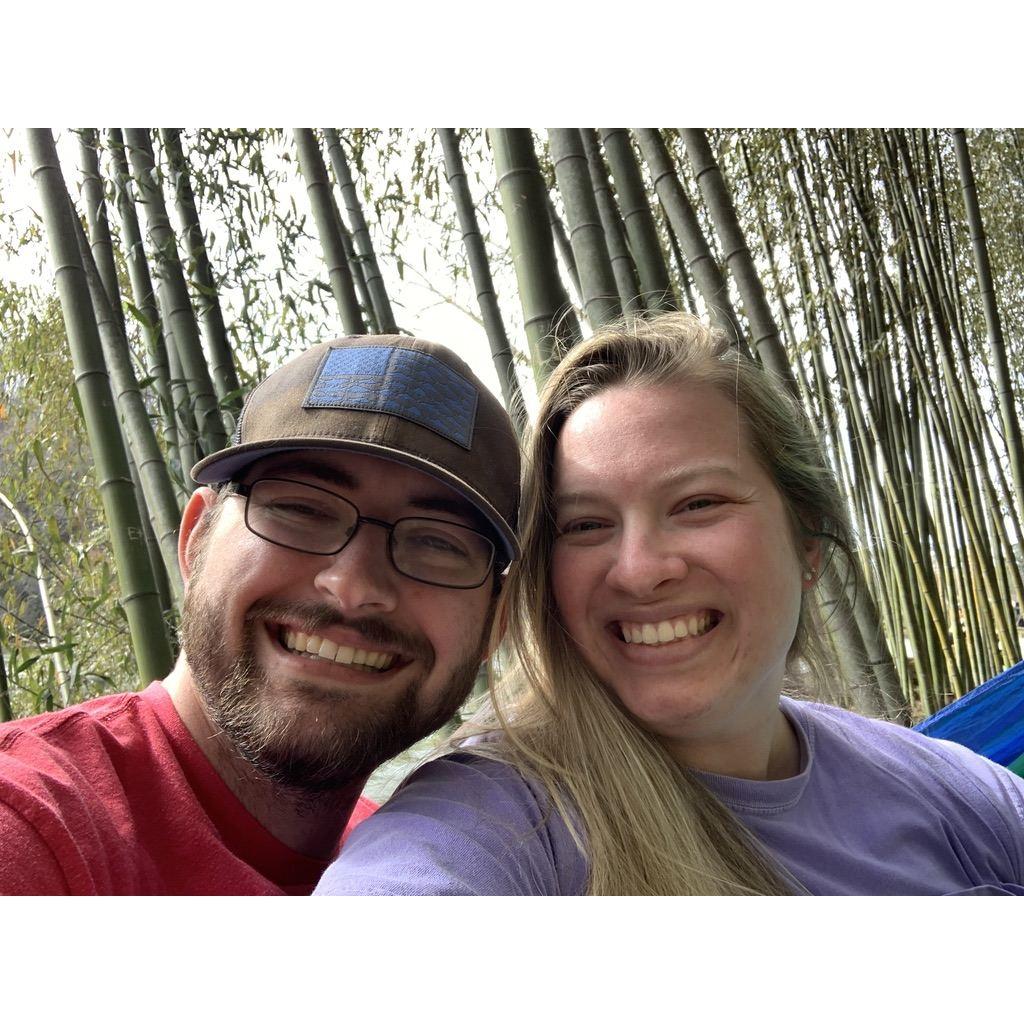 2021 - East Palisades bamboo forest