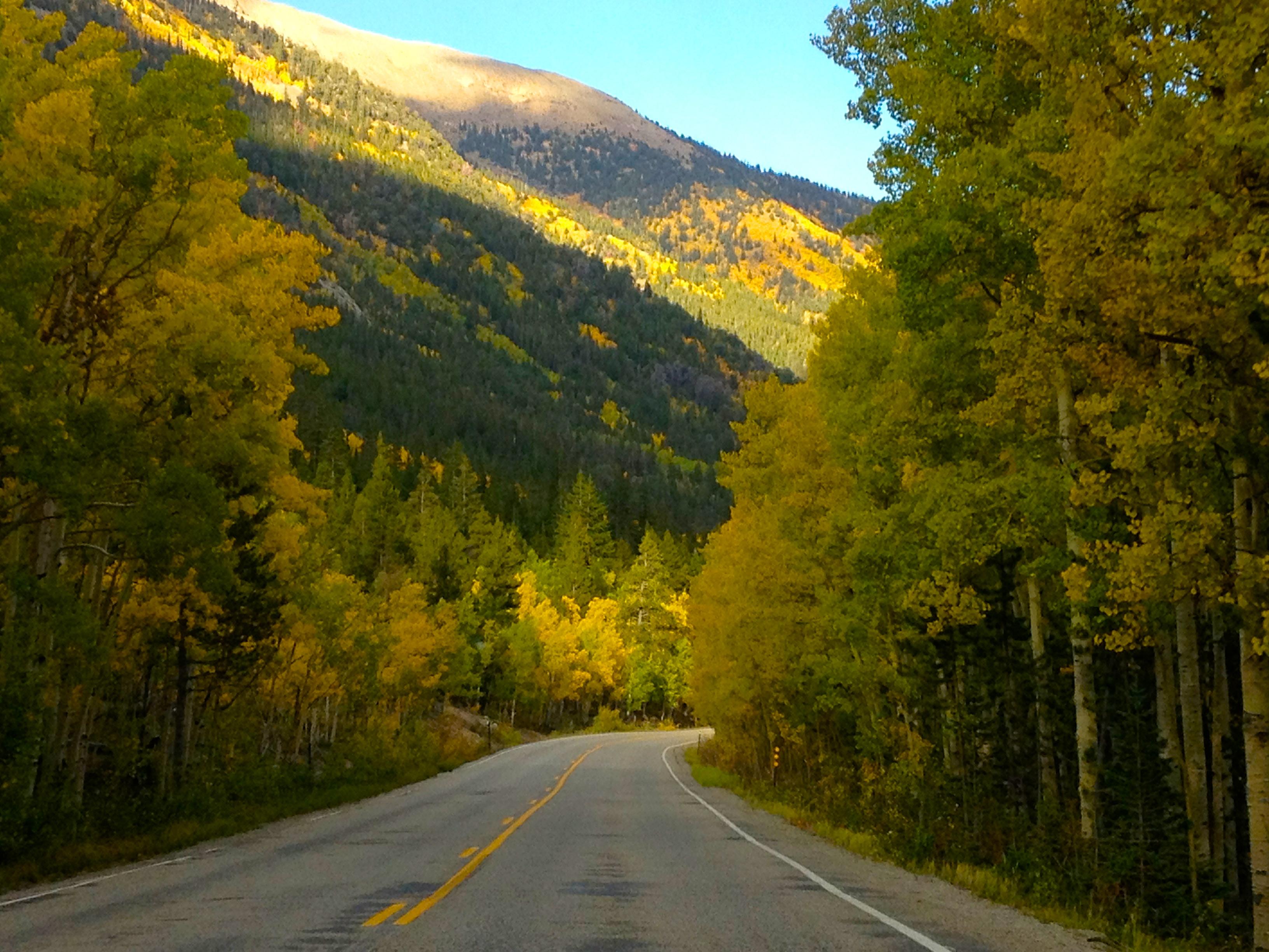 The Wedding Website of Jennifer Thompson and Peter Rumbach