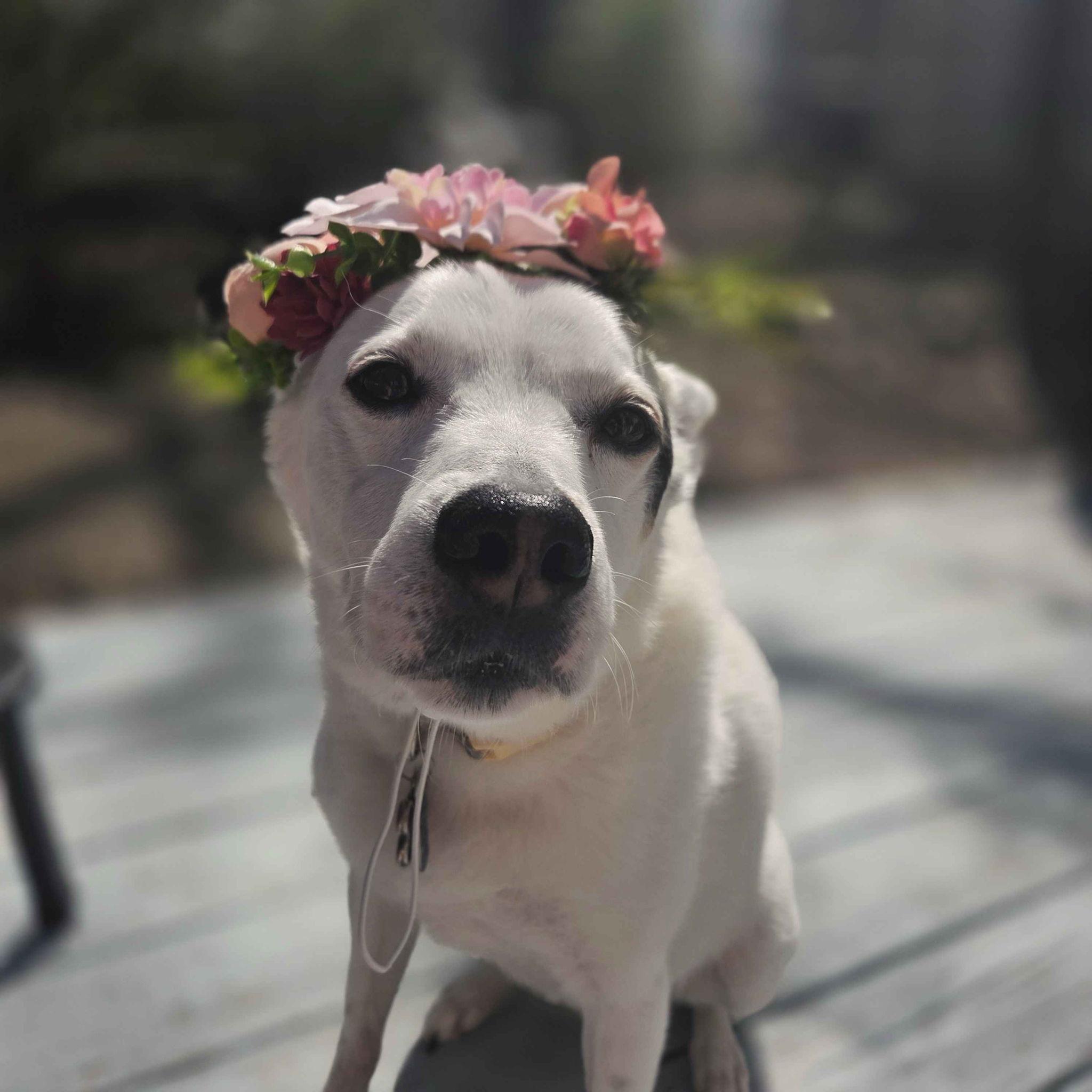 The Wedding Website of Lisa Nowak and Heath Caviness