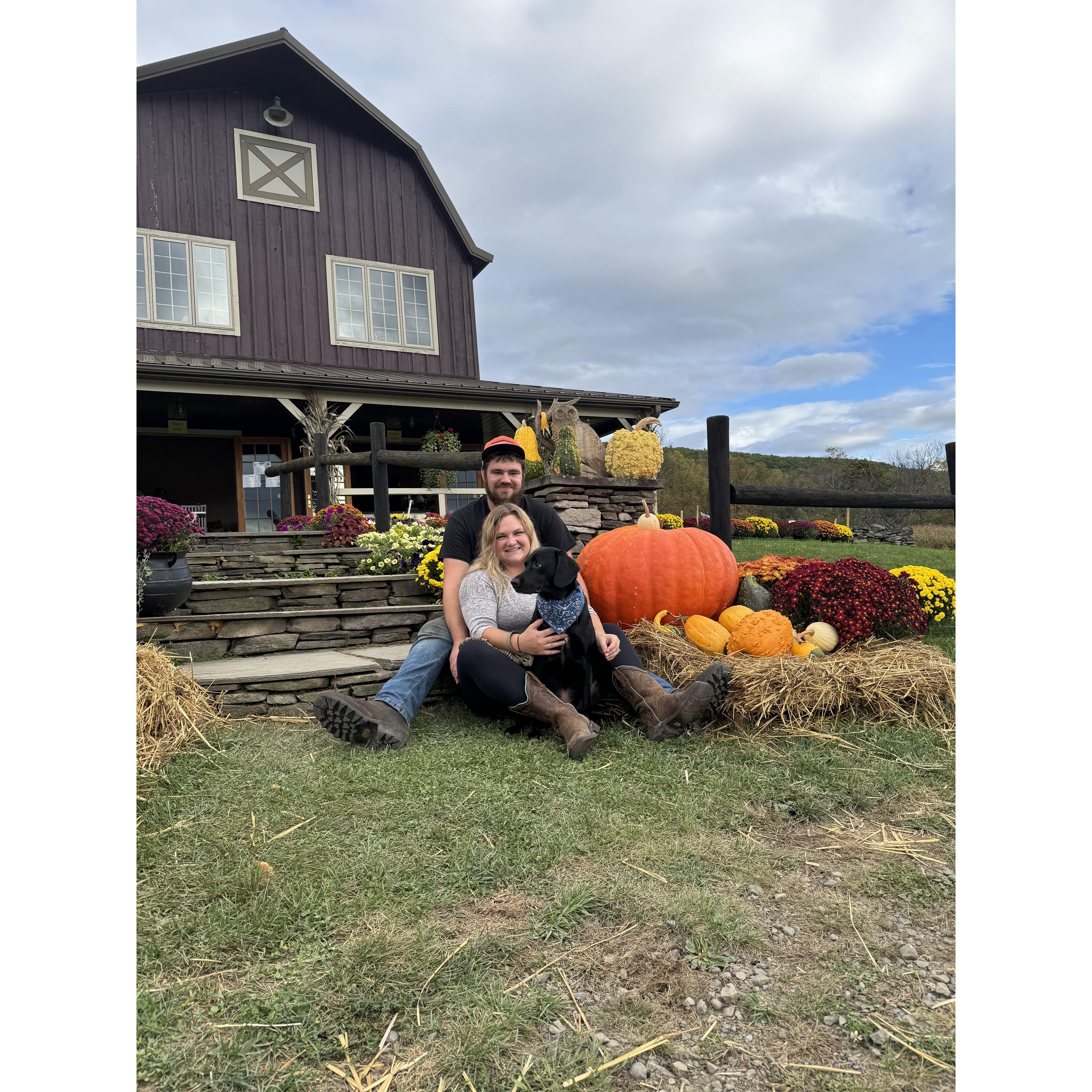 Pumpkin picking at Clapper's Maple Ridge Ranch!