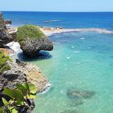 Survival Beach