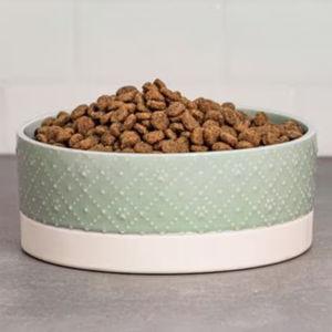 10 Strawberry Street Paw Pattern Cat Dish, Set of 2, Sage, Small