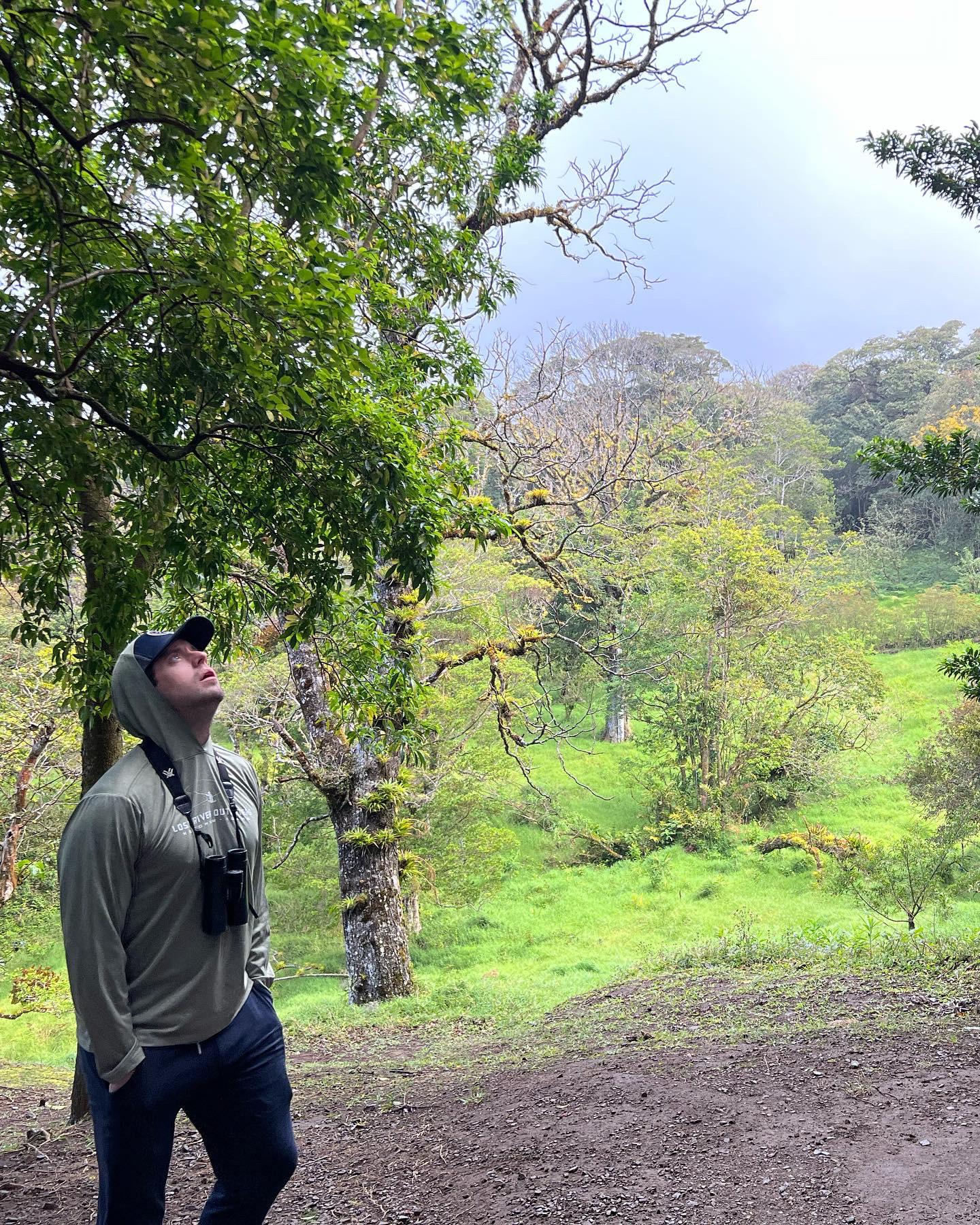 Birding in Monteverde Cloud forest