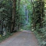 Leif Erickson Trail