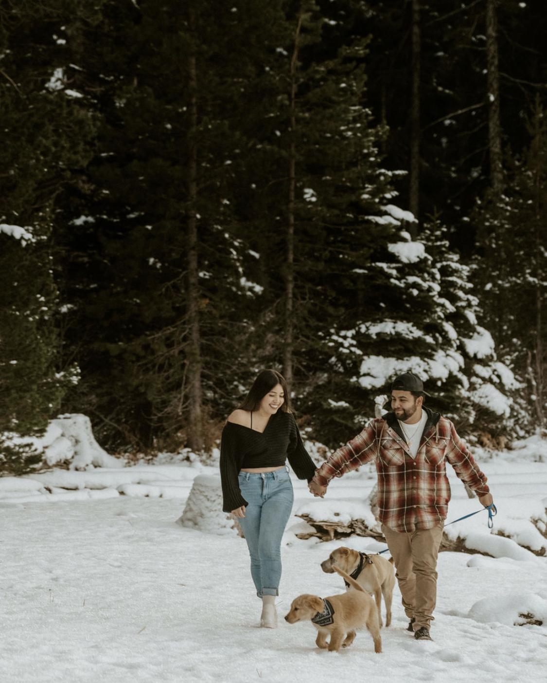 Our fur babies. Nala & Cosmo Gonzalez