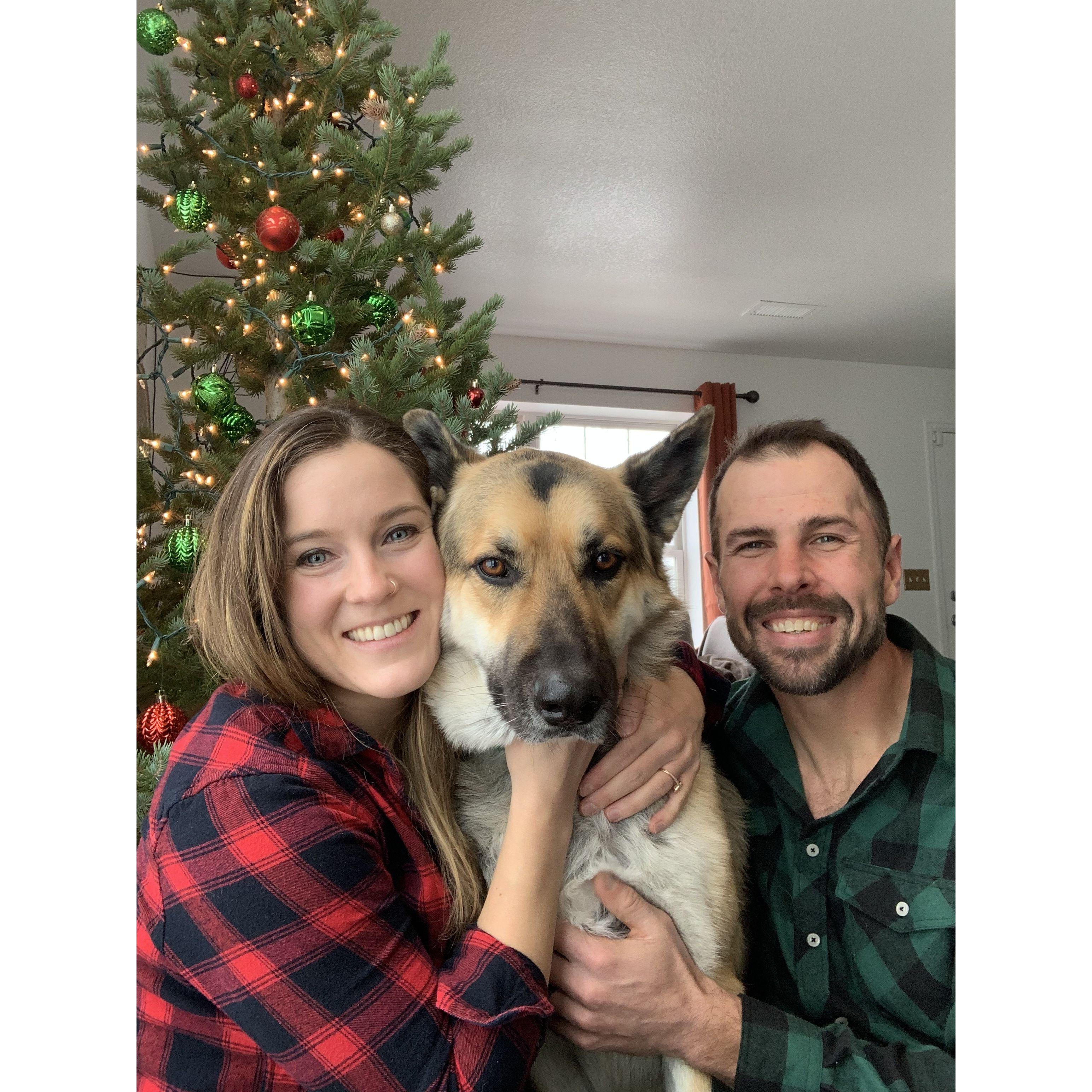 First Christmas with Samson in our new house! 