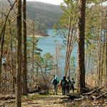 Ouachita National Forest