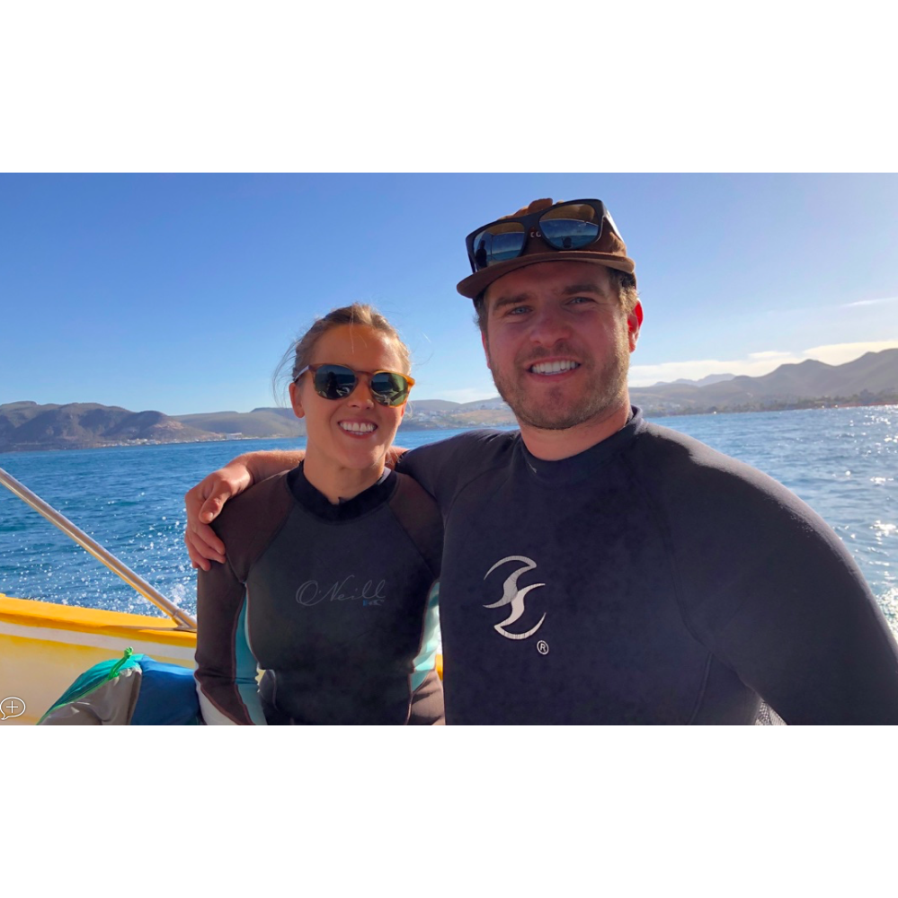 Swimming with whale sharks in Baja