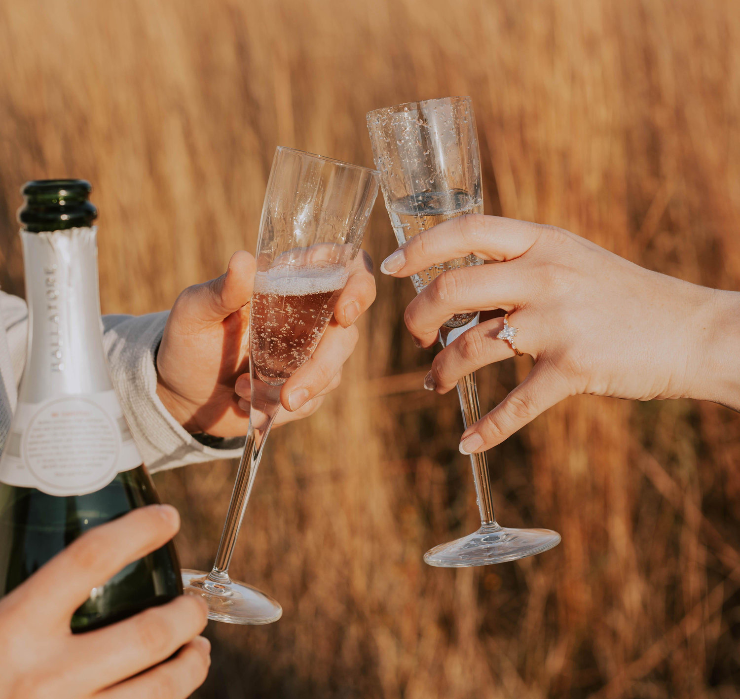 The Wedding Website of Mallory Leazer and Jack Harris