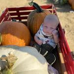 Harbes Farms Jamesport