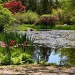 Hammond Museum & Japanese Stroll Garden