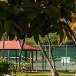 Recreational Activities