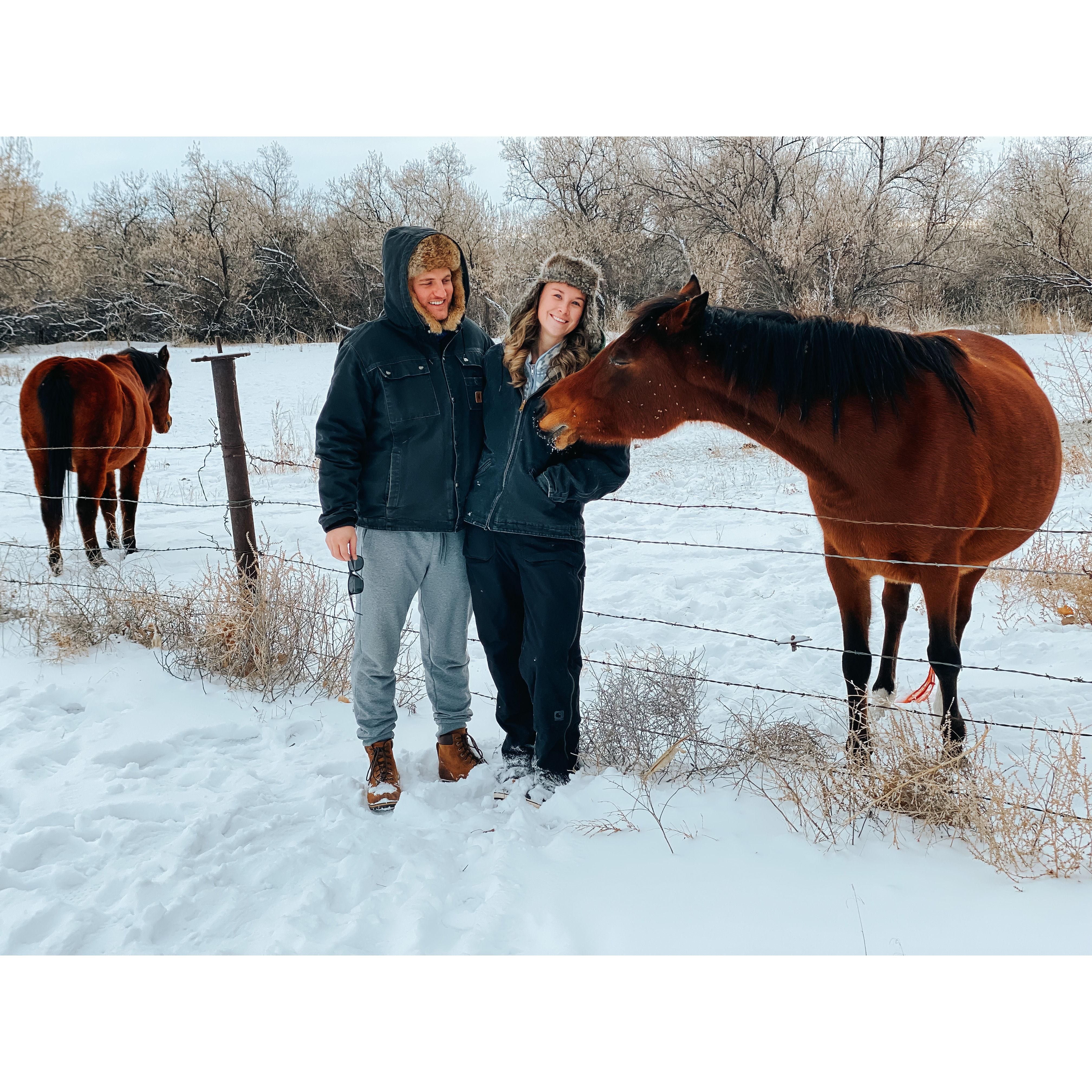 Christmas in Wyoming 2022.