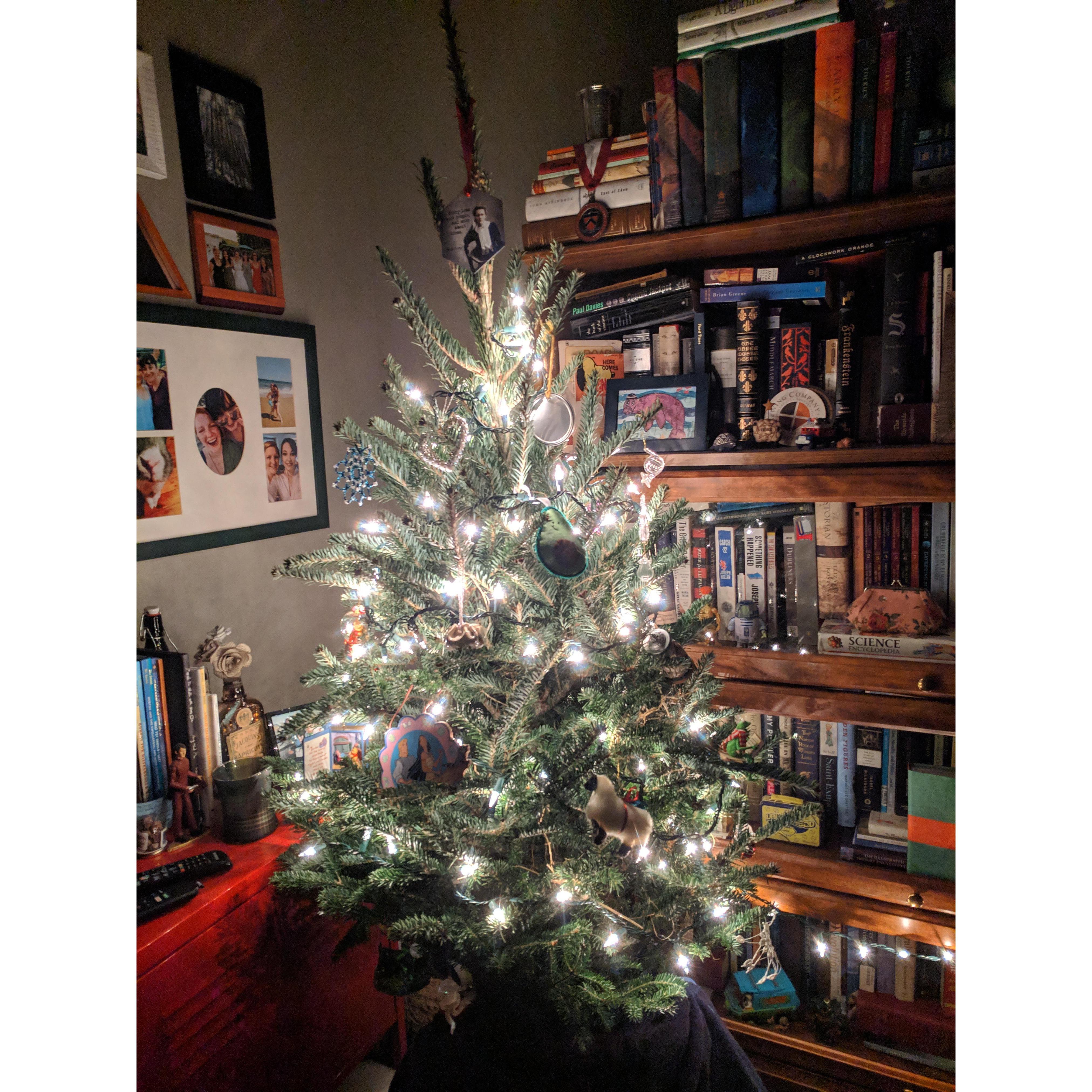 Christmas 2018 with Suavecito the Small. Rachel and Chelsea made a deal that if Chelsea got a small tree that year, she could get the biggest tree the next 5 years.