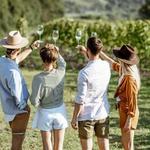 Taormina: Guided Etna Wine Tasting Half-Day Tour