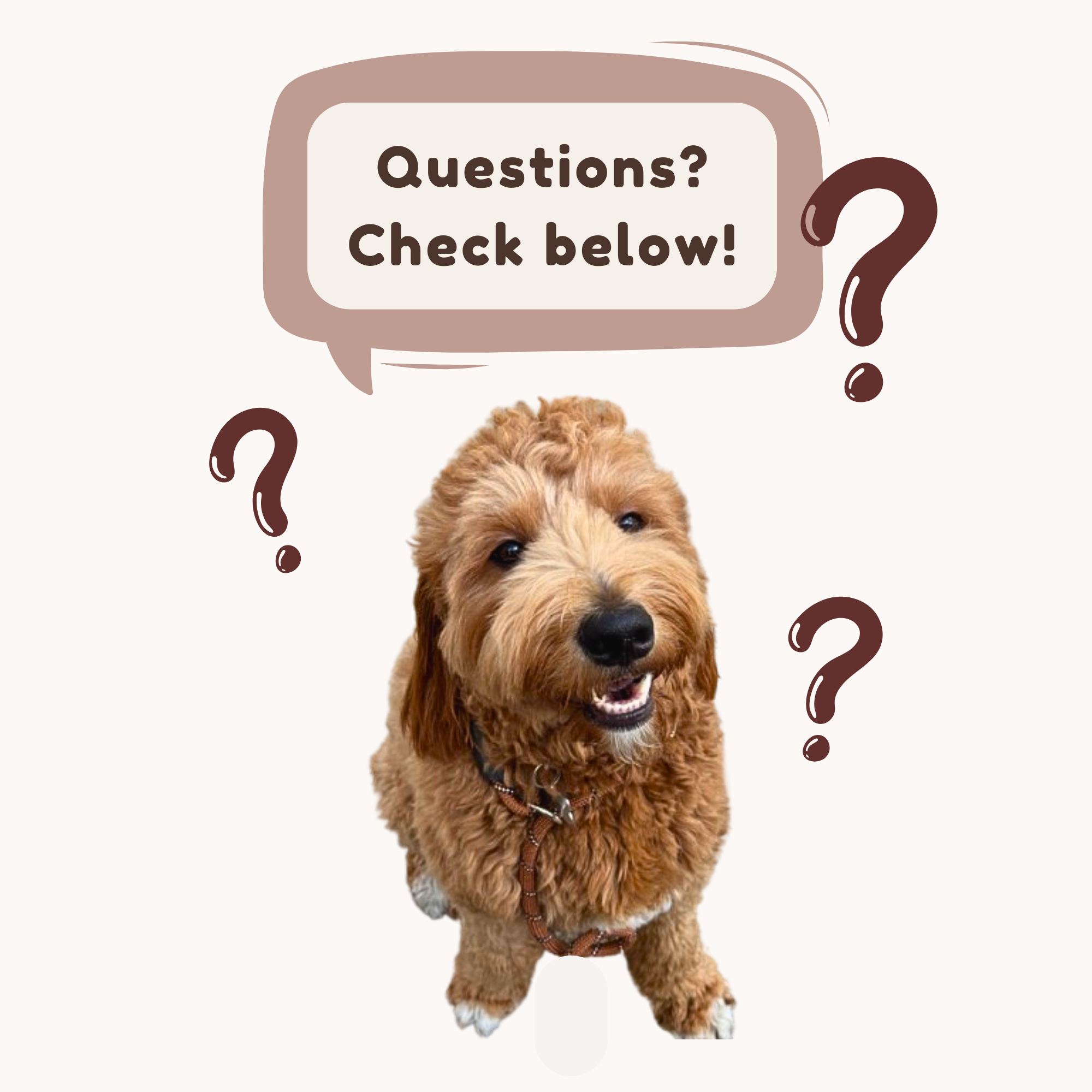 The Wedding Website of JOHN KANG and MARINA KIM