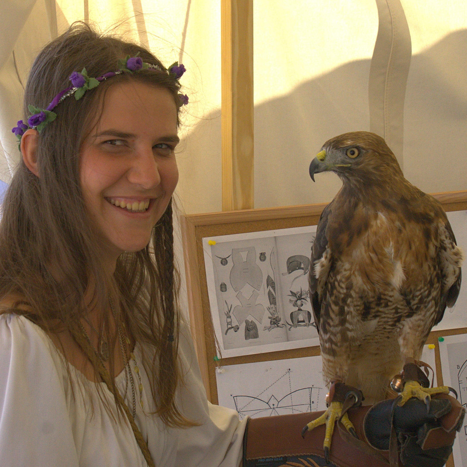 Having fun and holding hawks at the Renaissance fair. This was Aslan the red tailed hawk.