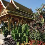 Olbrich Botanical Gardens