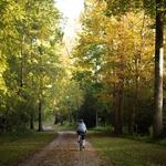 Greenway Trails