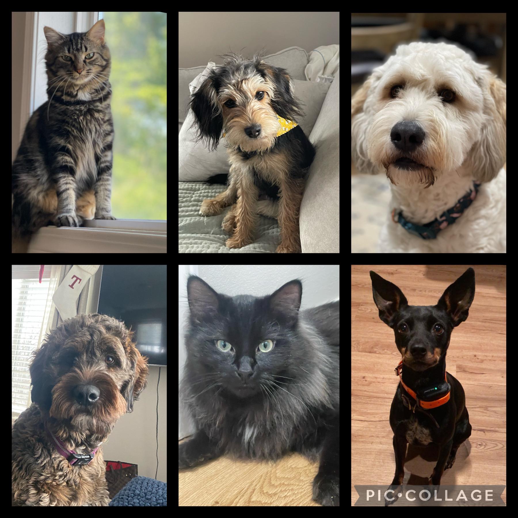 Our kids