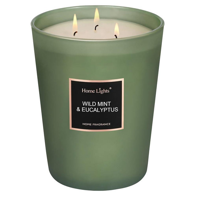 HomeLights Scented Candles - Large Jar Aromatherapy, Natural Soy Wax, 130 Hour Long Burning, Wild Mint & Eucalyptus