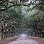 Wormsloe Historic Site