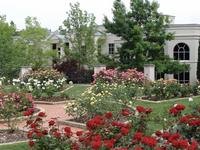 Birmingham Botanical Gardens