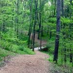 Wildlife & Trails @ Runge Nature Center