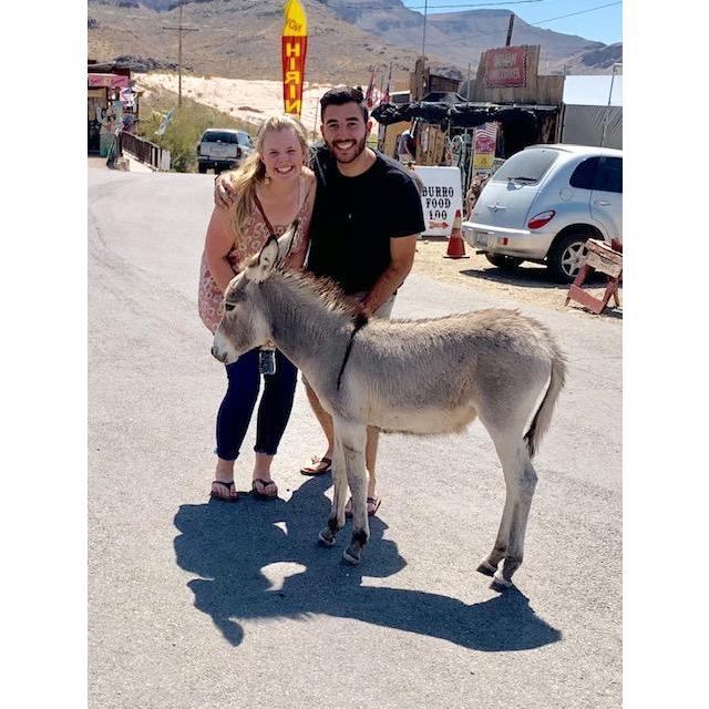 Baby donkey in Oatman, Arizona!