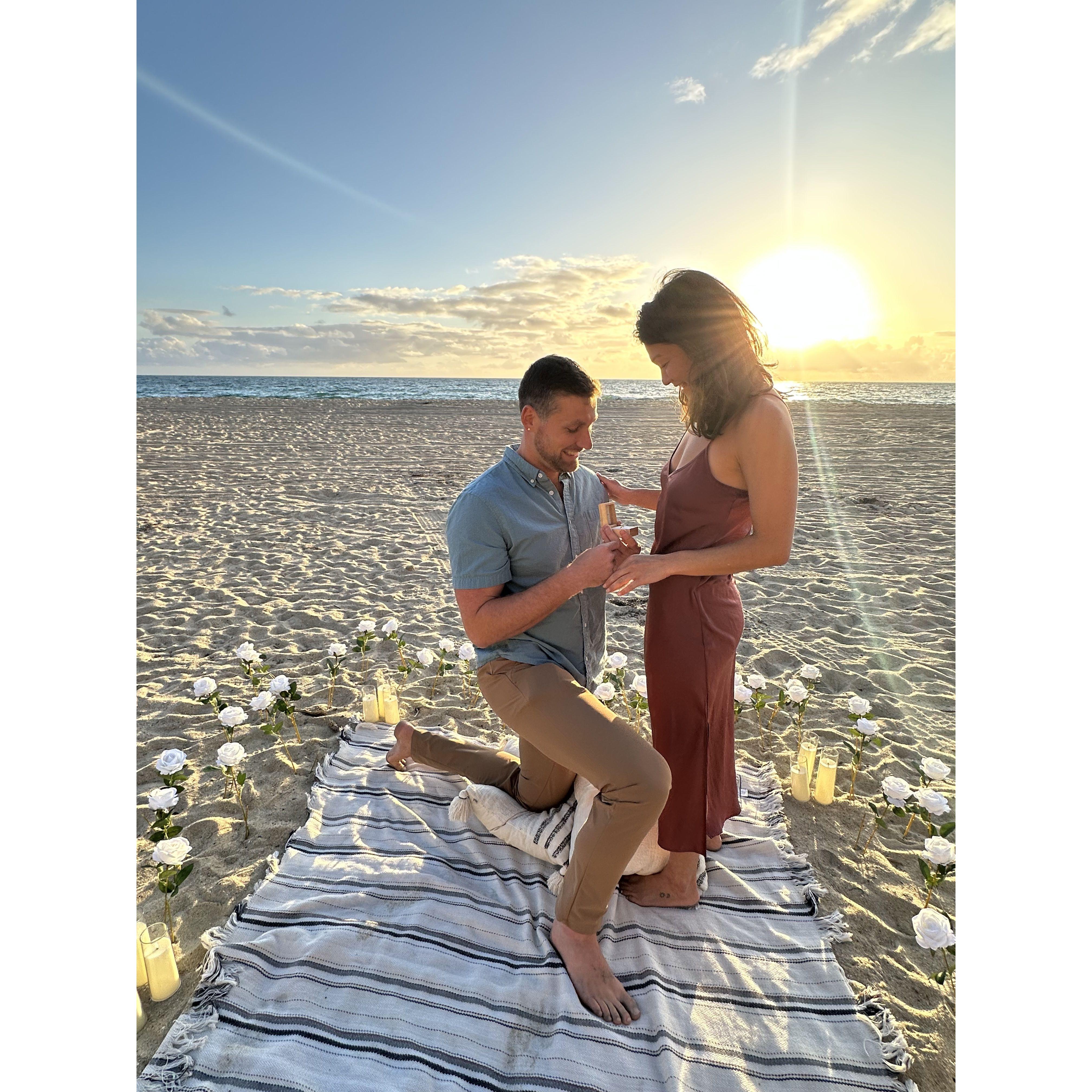 Tara said yes!