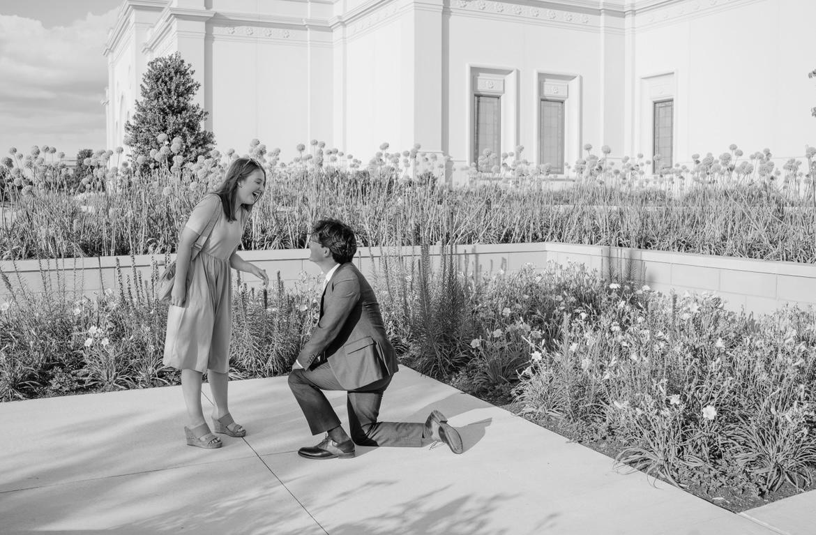 590fc733-6f7b-40b7-9be5-33e8816292e6