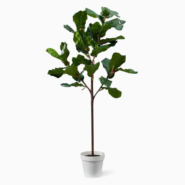 Faux Potted Fiddle Leaf Fig Tree, Version 1, 5'