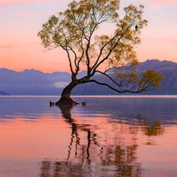 New Zealand Honeymoon Fund
