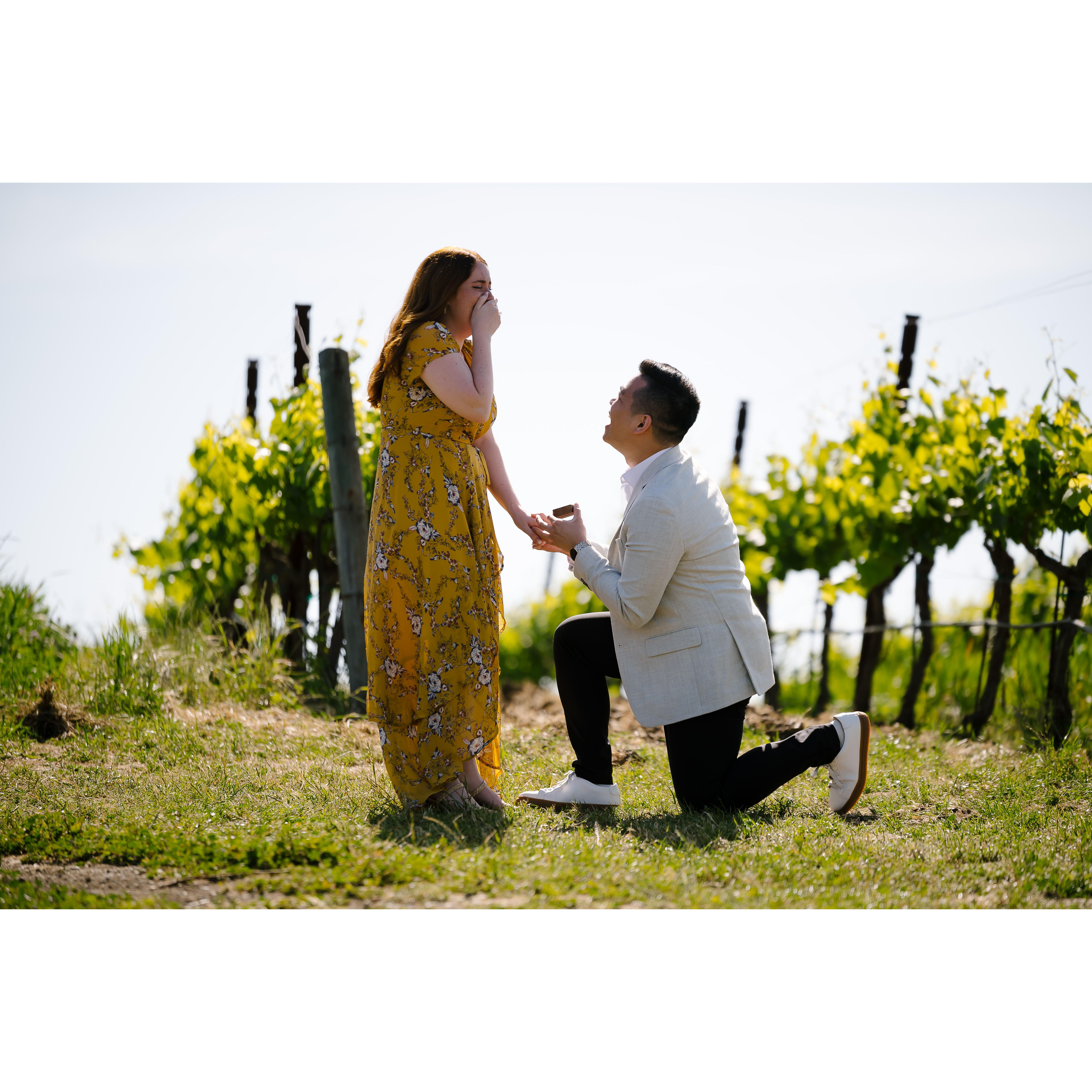 Our Engagement in Napa Valley 05/22/2023