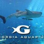 Georgia Aquarium