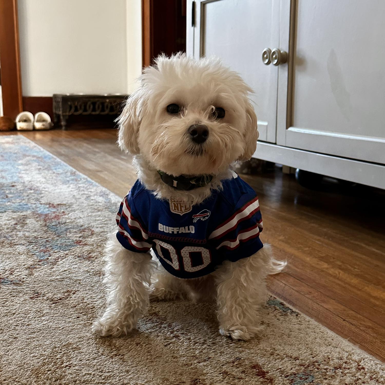 Go bills!