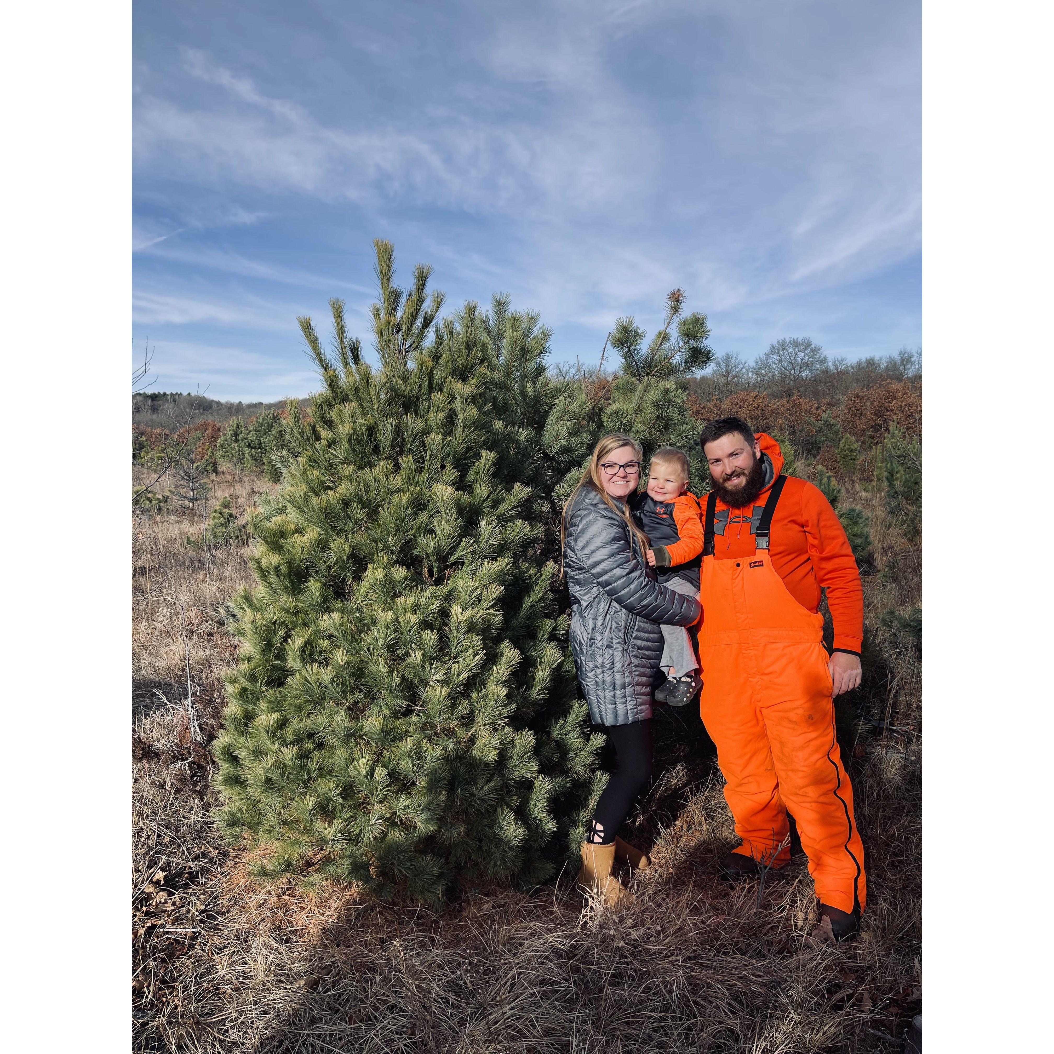 Traditional Family Tree Cutting 2022