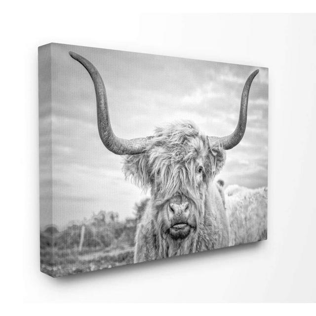 Stupell Industries HOME Black And White Highland Cow Photograph Canvas Wall Art, 24x30, Multicolor
