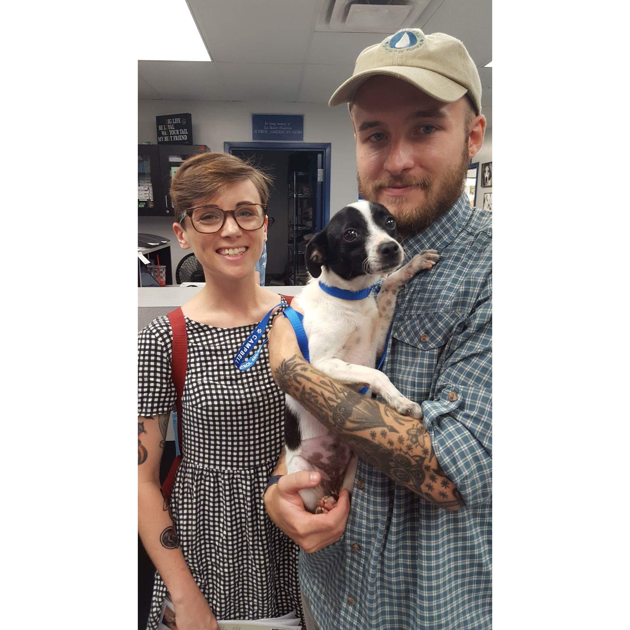 ziggy's adoption day // bowling green, kentucky // 08.17