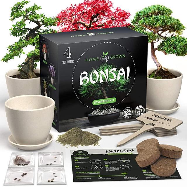 HOME GROWN Bonsai Tree Kit. Bonsai Tree Starter Kit with 4 Seeds Types, incl. Purple Bonsai Tree! Indoor Growing Plant Gifts for Moms Who Have Everything, Seed Starter Kit for Kids, DIY Adult Crafts