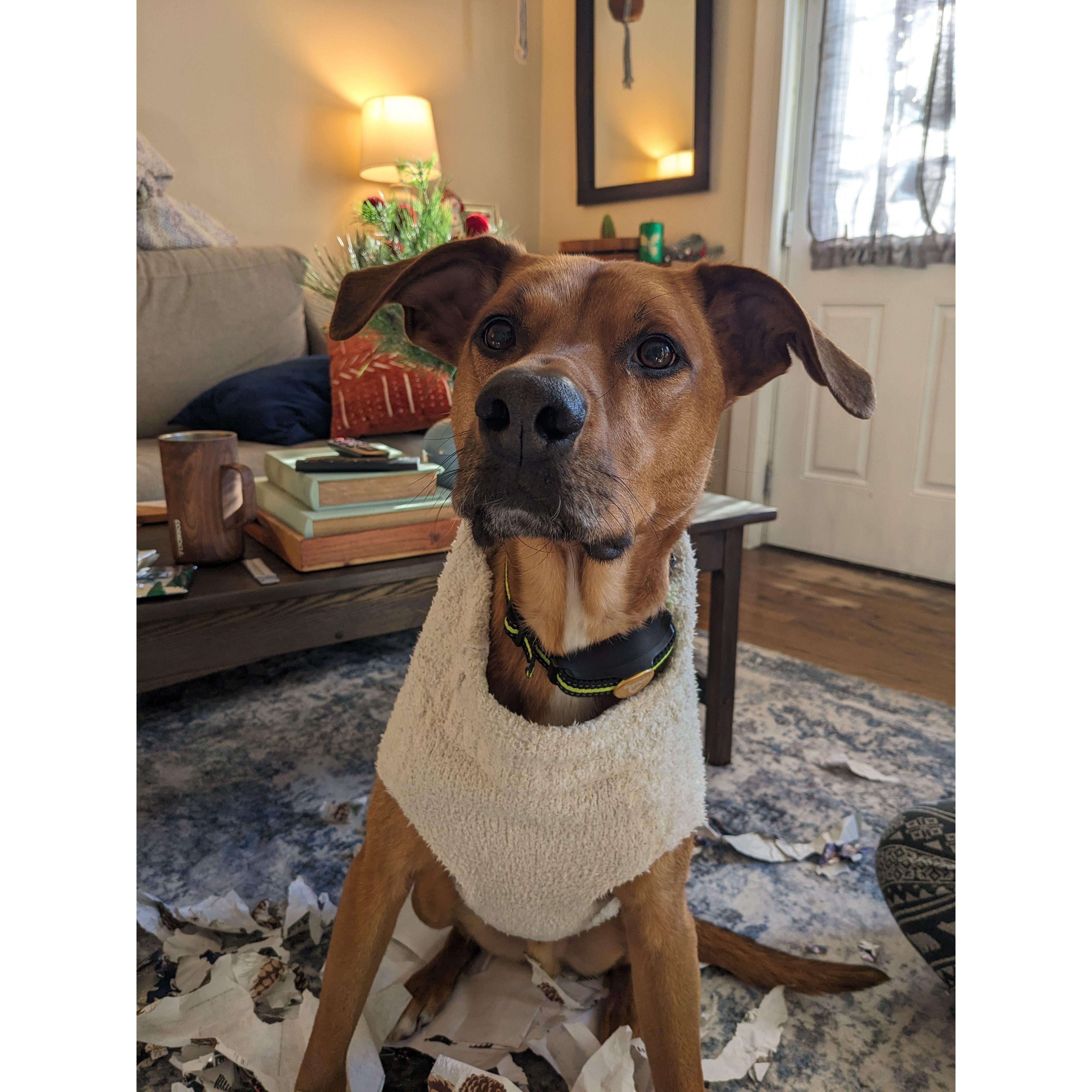 Had to throw in a pic of Tucker of course