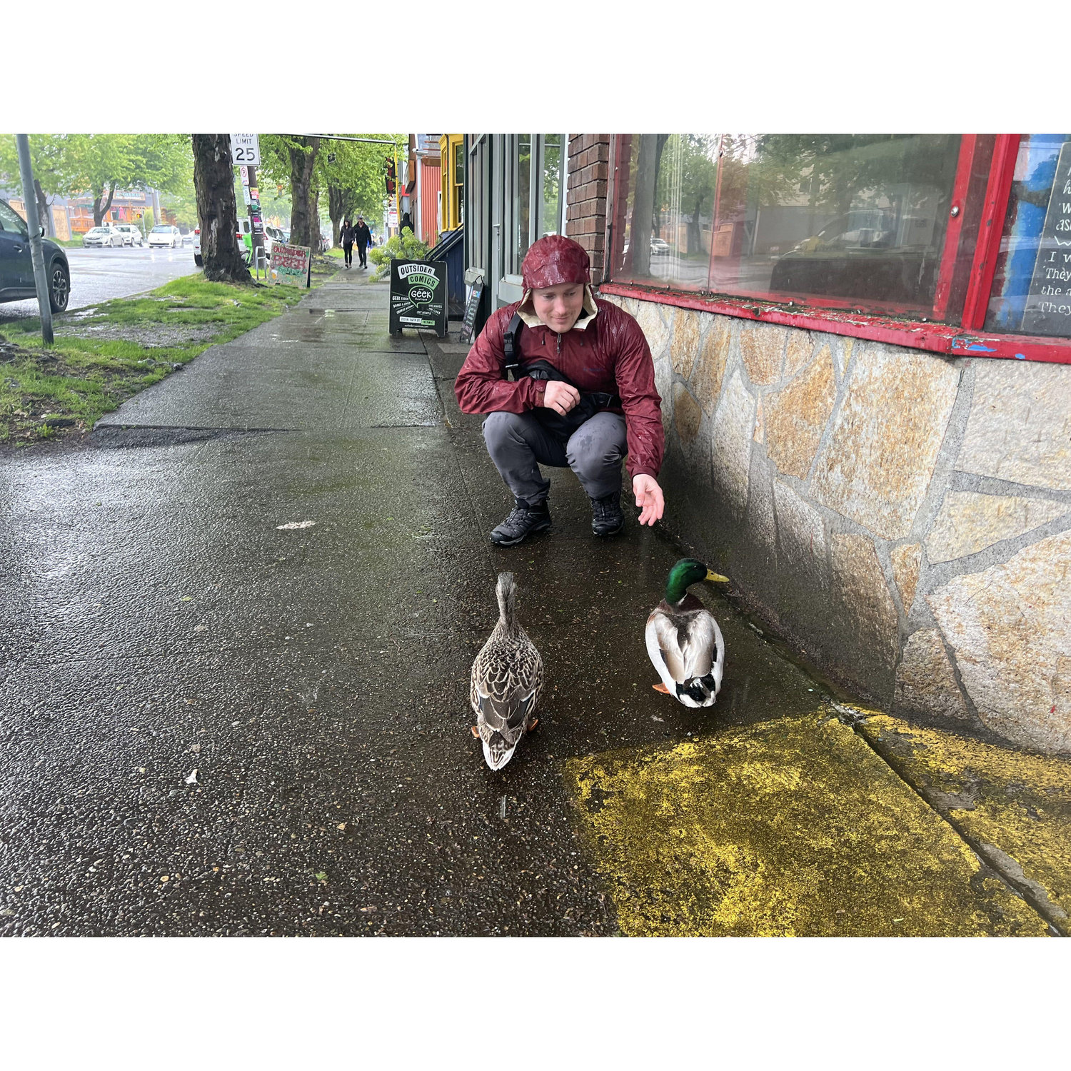 I fell in love with a duck whisperer