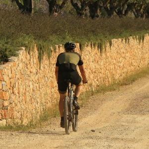 Bike rental for a day of biking the French countryside!