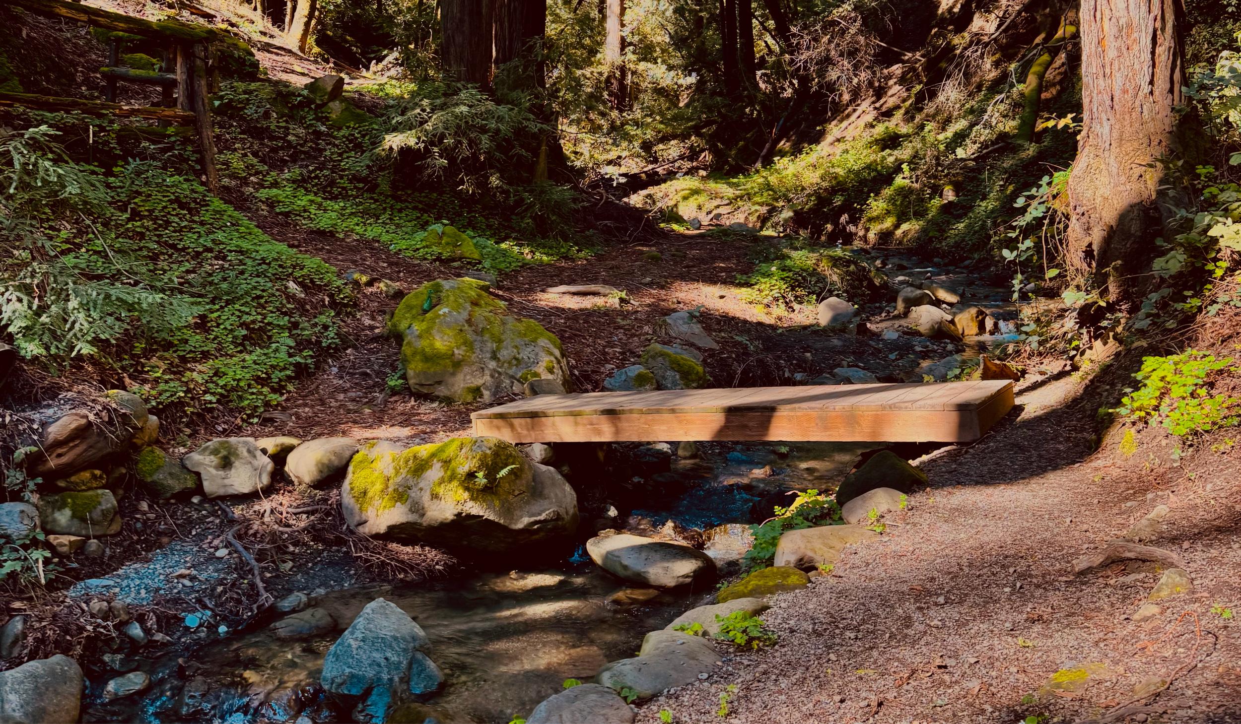 The Wedding Website of Alyse Lee and Johann Richie Tiamzon