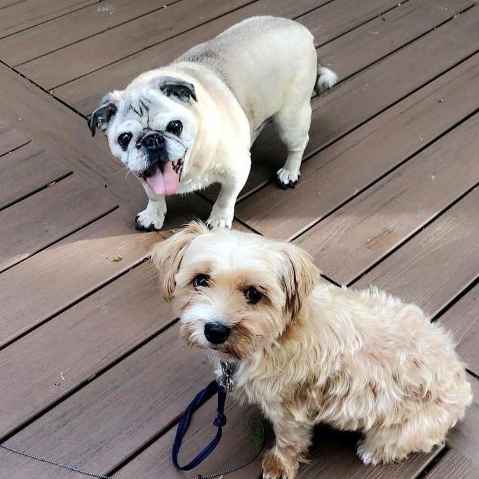 Mylo and Mugzee